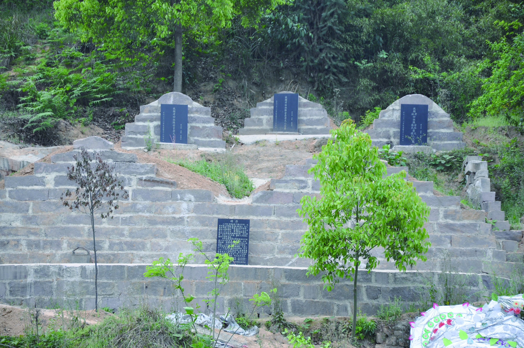 DSC_595322.jpg