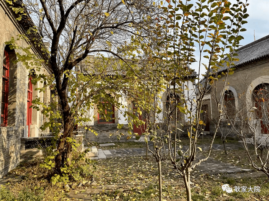 IMG_8597.PNG
